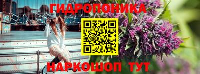 ГАЛЛЮЦИНОГЕННЫЕ ГРИБЫ Кулебаки